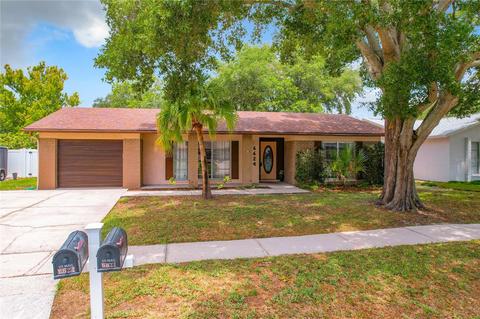 6624 Reef Cir, Tampa, FL 33625