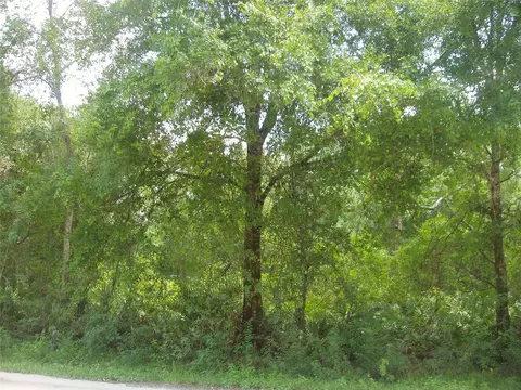 Creek Road, Wesley Chapel, FL 33543