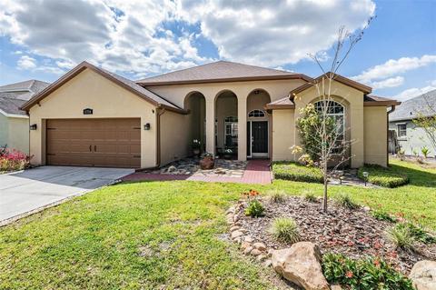 11714 Carrollwood Cove Dr, Tampa, FL 33624
