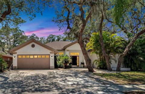 10417 Nightengale Dr, Riverview, FL 33569