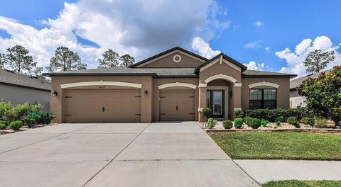 18632 Rococo Rd, Spring Hill, FL 34610