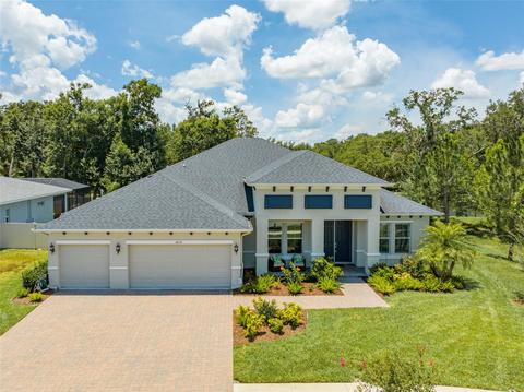 14118 Tomentosa Ave, Riverview, FL 33569