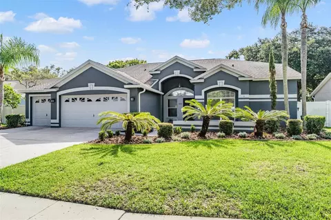 4512 Gentrice Dr, Valrico, FL 33596