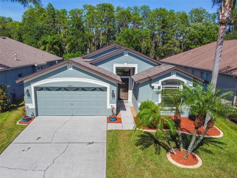 3820 Lockridge Dr, Land O Lakes, FL 34638