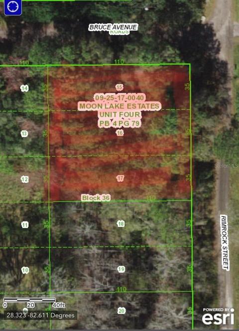 Rimrock Street, New Port Richey, FL 34654
