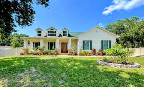 13100 Lilita Ave, Dover, FL 33527