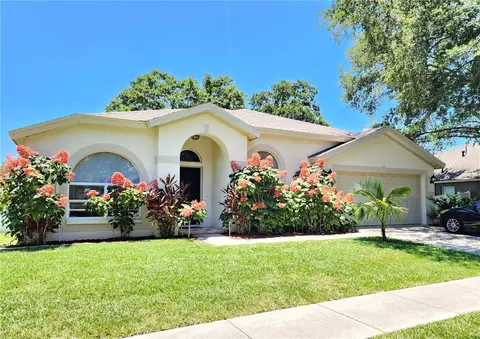 10456 Ashley Oaks Dr, Riverview, FL 33578