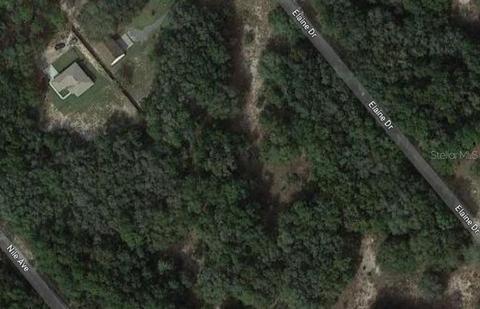 Elaine Drive, Webster, FL 33597
