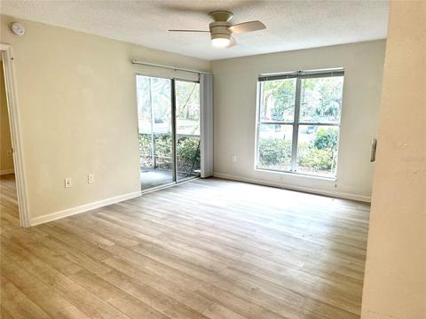 10024 Strafford Oak Ct #804, Tampa, FL 33624