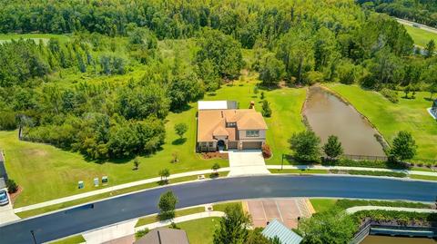 31380 Driscoll Dr, Wesley Chapel, FL 33543