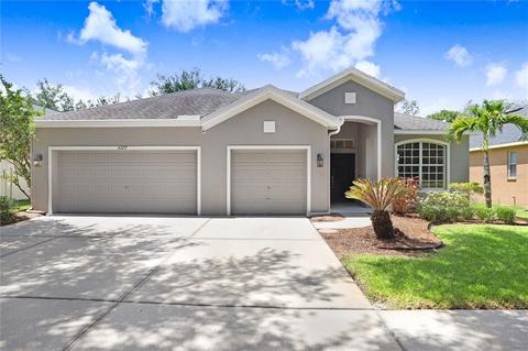 6220 Whimbrelwood Dr, Lithia, FL 33547