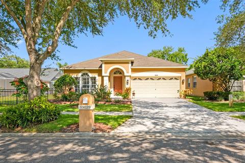 19029 Chemille Dr, Lutz, FL 33558