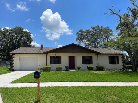 911 Silver Ridge Way, Valrico, FL 33594