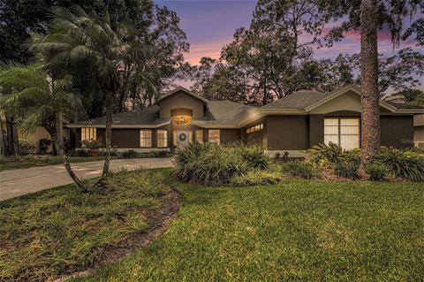 501 Stratfield Dr, Lutz, FL 33549