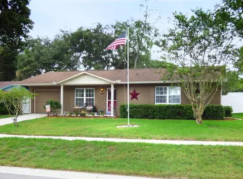 1234 Tulipwood Dr, Seffner, FL 33584