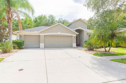 19252 Meadow Pine Dr, Tampa, FL 33647