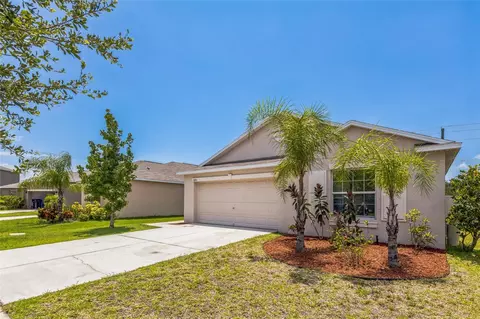 10311 Boggy Moss Dr, Riverview, FL 33578