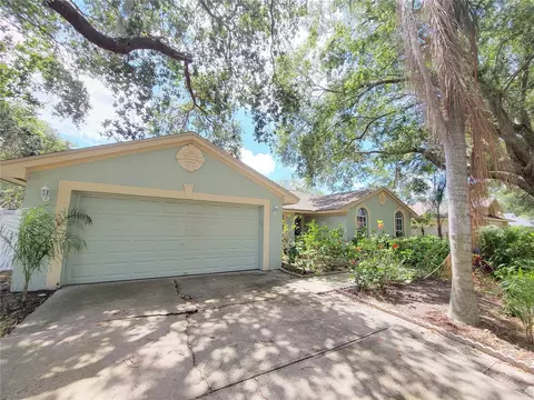 10407 Tara Dr, Riverview, FL 33578 photo 1