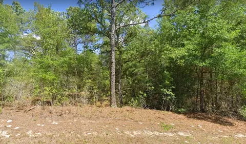 10091 N Jacobson, Citrus Springs, FL 34434