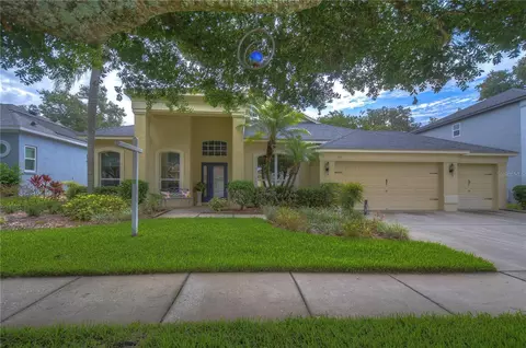 1111 Split Silk St, Valrico, FL 33594