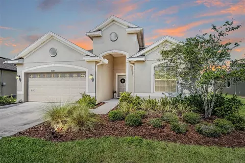 8258 Olive Brook Dr, Wesley Chapel, FL 33545