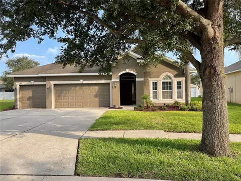1511 Rhodeswell Ln, Dover, FL 33527