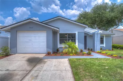 7317 Monterey Blvd, Tampa, FL 33625