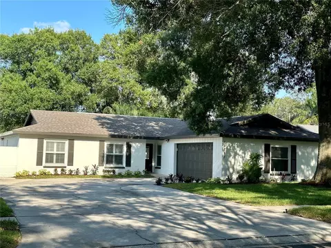 13313 Lake George Pl, Tampa, FL 33618