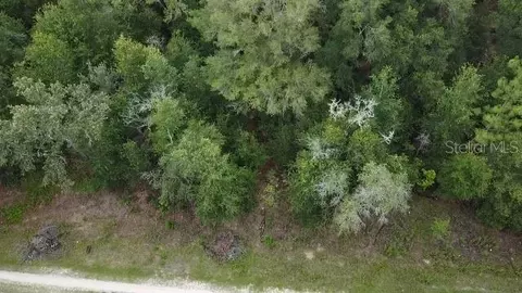 12845 SW 95th Pl, Dunnellon, FL 34432