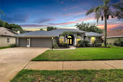 3934 Valrico Grove Dr, Valrico, FL 33594