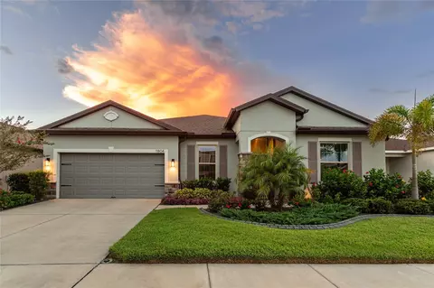 11804 Brighton Knoll Loop, Riverview, FL 33579