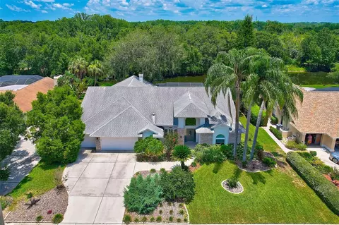 17911 Clear Lake Dr, Lutz, FL 33548