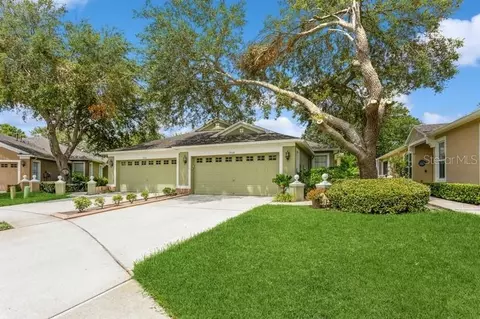 19108 White Wing Pl, Tampa, FL 33647