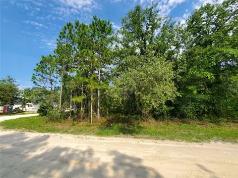 Geese Street, Weeki Wachee, FL 34614