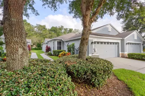 6001 Sandhill Ridge Dr, Lithia, FL 33547