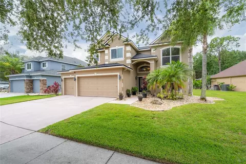 8273 Swann Hollow Dr, Tampa, FL 33647