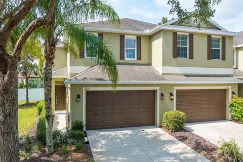 8615 Fiddleleaf Ct, Tampa, FL 33647