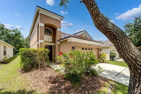 5905 Wrenwater Dr, Lithia, FL 33547