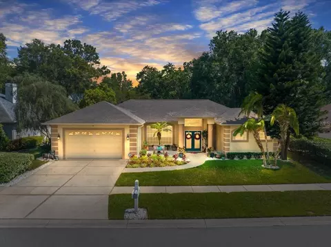21326 Preservation Dr, Land O Lakes, FL 34638