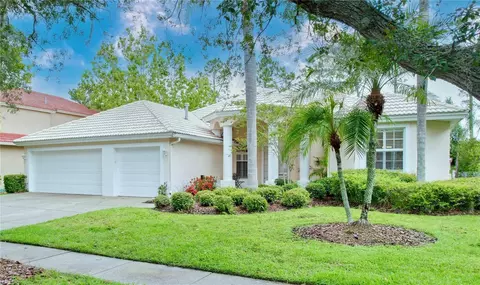 18143 Regents Square Dr, Tampa, FL 33647