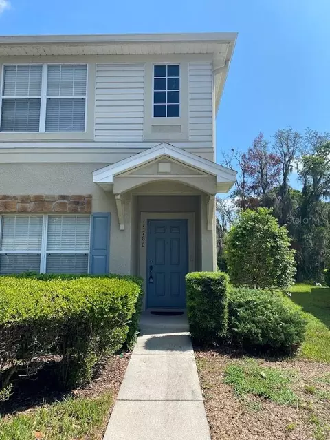 15786 Fishhawk Falls Dr, Lithia, FL 33547