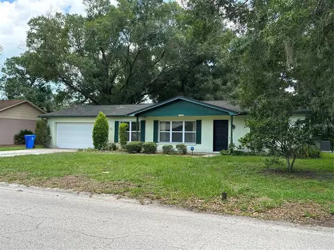 13806 Cherry Brook Ln, Tampa, FL 33618