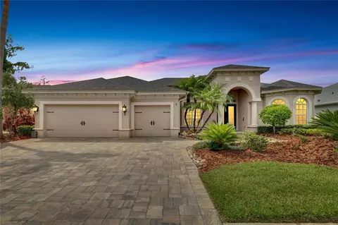 27124 Winged Elm Dr, Wesley Chapel, FL 33544