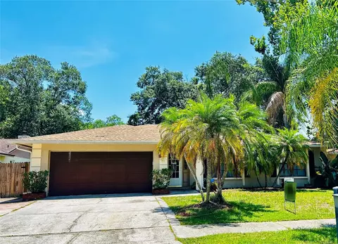 15711 Squirrel Tree Pl, Tampa, FL 33624