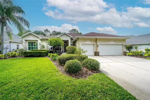 17519 Edinburgh Dr, Tampa, FL 33647