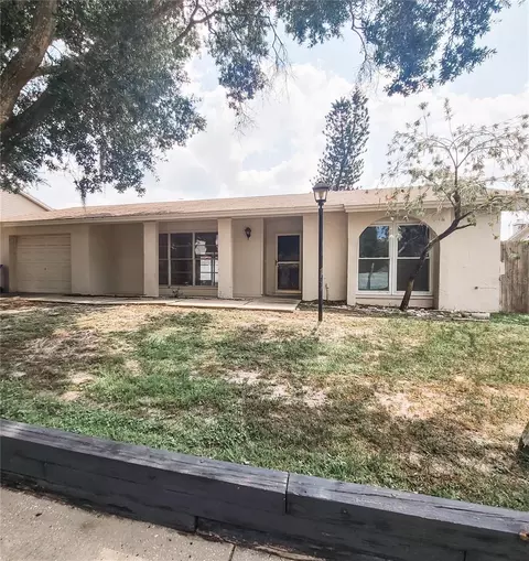 12509 Limpet Dr, Tampa, FL 33625