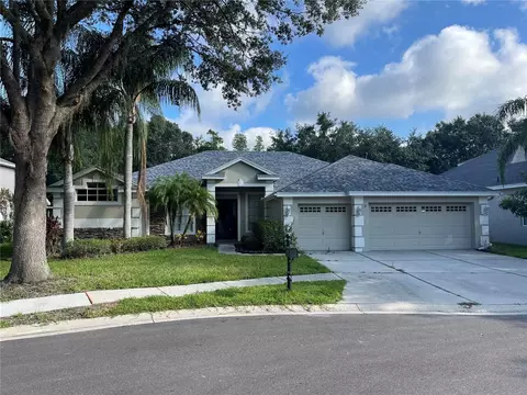 8204 Nature Cove Way, Tampa, FL 33647