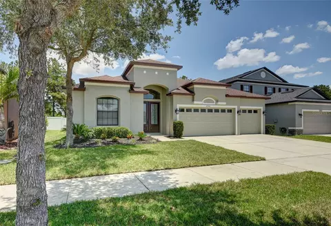 8540 White Poplar Dr, Riverview, FL 33578