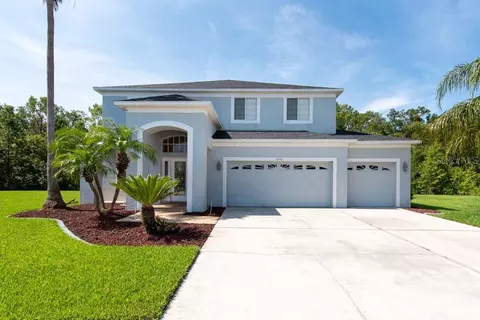 4540 Roslyn Ct, Land O Lakes, FL 34639