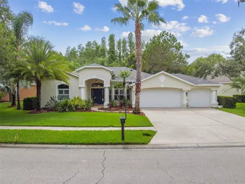 6031 Catlin Dr, Tampa, FL 33647